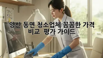 양산 동면 청소업체: 꼼꼼한 가격 비교 & 평가 가이드