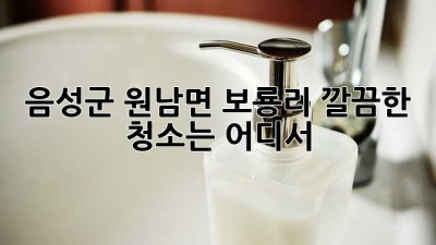 음성군 원남면 보룡리, 깔끔한 청소는 어디서? ✨