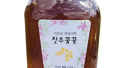 꽃따라꿀따라? 꿀팁 대방출! 내돈내산 후기와 함께 ✨