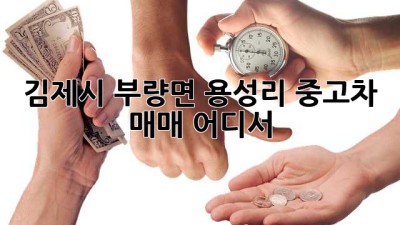 김제시 부량면 용성리 중고차 매매, 어디서?